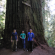 I told you it was a big tree! Also, one of the few times I’m glad I packed a tripod with me.